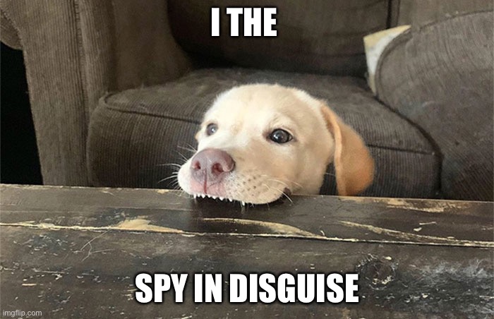 Got meme | I THE; SPY IN DISGUISE | image tagged in doge | made w/ Imgflip meme maker