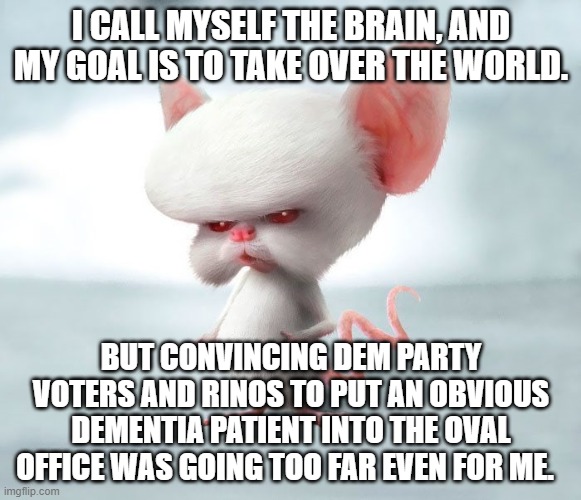 The Brain finally confesses. | I CALL MYSELF THE BRAIN, AND MY GOAL IS TO TAKE OVER THE WORLD. BUT CONVINCING DEM PARTY VOTERS AND RINOS TO PUT AN OBVIOUS DEMENTIA PATIENT INTO THE OVAL OFFICE WAS GOING TOO FAR EVEN FOR ME. | image tagged in the brain,evil plan,biden | made w/ Imgflip meme maker