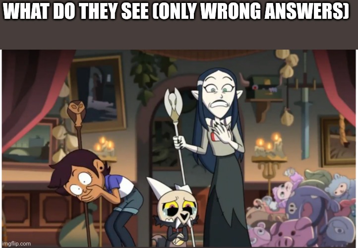 WHAT DO THEY SEE (ONLY WRONG ANSWERS) | image tagged in scared owl house gang | made w/ Imgflip meme maker