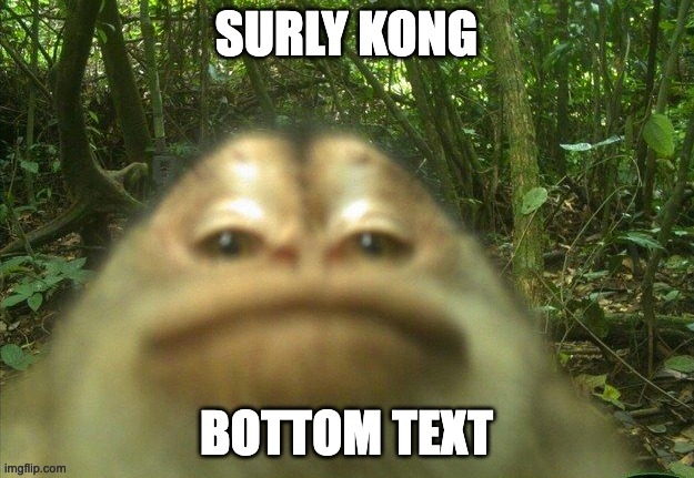 Sorly Kung | image tagged in memes,unfunny,hong kong | made w/ Imgflip meme maker