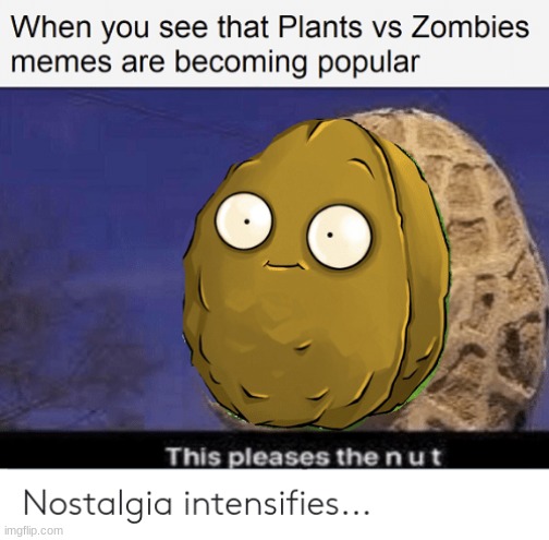 nut is pleased | image tagged in plants vs zombies | made w/ Imgflip meme maker