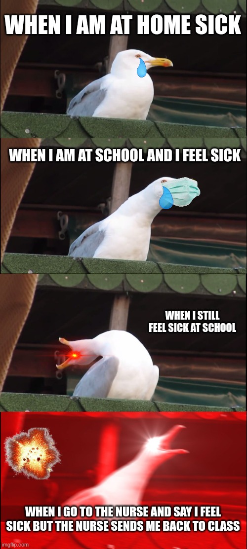 why school nurse | WHEN I AM AT HOME SICK; WHEN I AM AT SCHOOL AND I FEEL SICK; WHEN I STILL FEEL SICK AT SCHOOL; WHEN I GO TO THE NURSE AND SAY I FEEL SICK BUT THE NURSE SENDS ME BACK TO CLASS | image tagged in memes,inhaling seagull | made w/ Imgflip meme maker