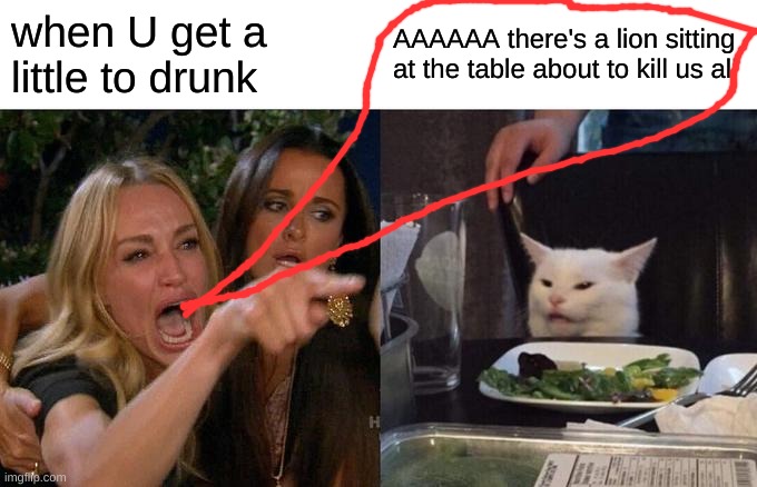 what happens when you drink a bit to much wine | when U get a little to drunk; AAAAAA there's a lion sitting at the table about to kill us all | image tagged in memes | made w/ Imgflip meme maker