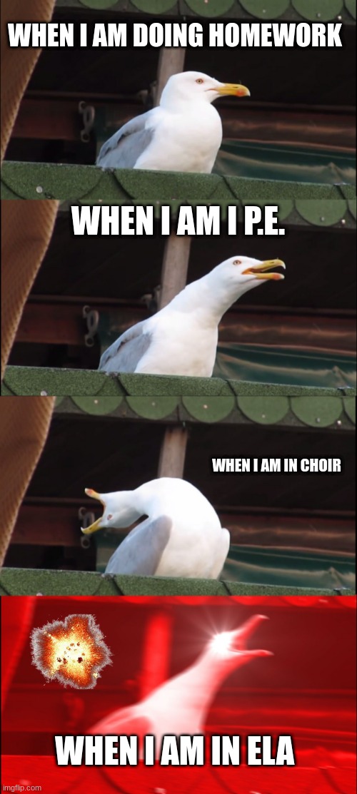 this is bad | WHEN I AM DOING HOMEWORK; WHEN I AM I P.E. WHEN I AM IN CHOIR; WHEN I AM IN ELA | image tagged in memes,inhaling seagull | made w/ Imgflip meme maker