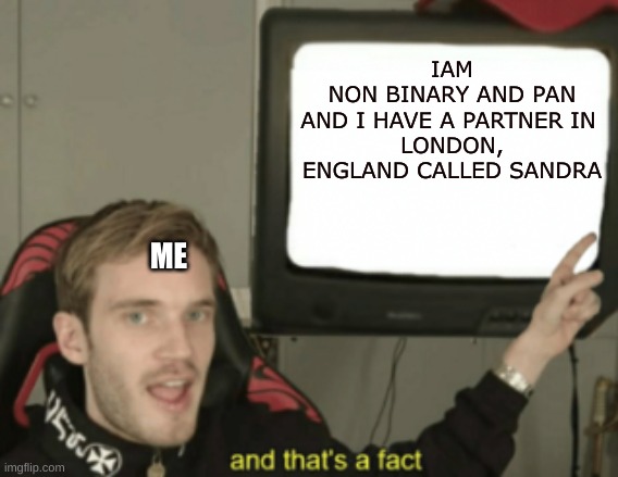 Annnnd Thats a fact ! | IAM
NON BINARY AND PAN
AND I HAVE A PARTNER IN 
LONDON, ENGLAND CALLED SANDRA; ME | image tagged in and that's a fact | made w/ Imgflip meme maker
