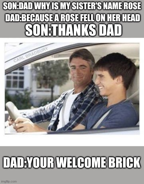 Dad why is my sisters name | SON:DAD WHY IS MY SISTER'S NAME ROSE; DAD:BECAUSE A ROSE FELL ON HER HEAD; SON:THANKS DAD; DAD:YOUR WELCOME BRICK | image tagged in dad why is my sisters name | made w/ Imgflip meme maker