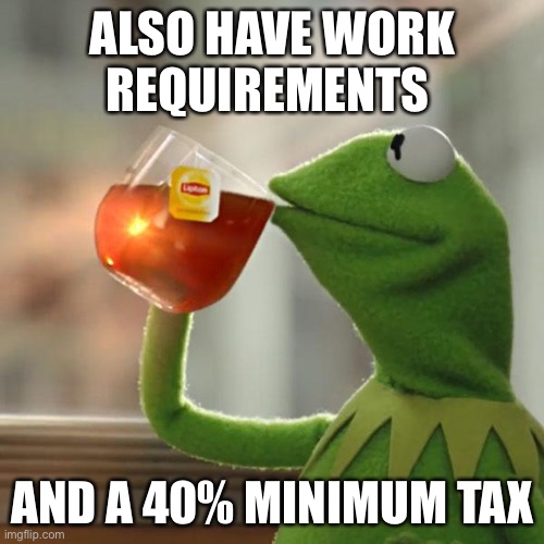 But That's None Of My Business Meme | ALSO HAVE WORK REQUIREMENTS AND A 40% MINIMUM TAX | image tagged in memes,but that's none of my business,kermit the frog | made w/ Imgflip meme maker