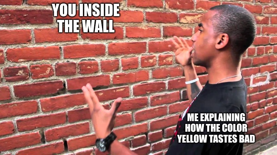 Talking to wall | YOU INSIDE THE WALL ME EXPLAINING HOW THE COLOR YELLOW TASTES BAD | image tagged in talking to wall | made w/ Imgflip meme maker