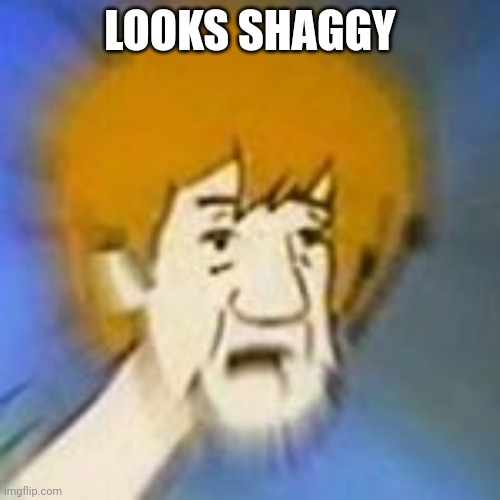 Shaggy Dank Meme | LOOKS SHAGGY | image tagged in shaggy dank meme | made w/ Imgflip meme maker