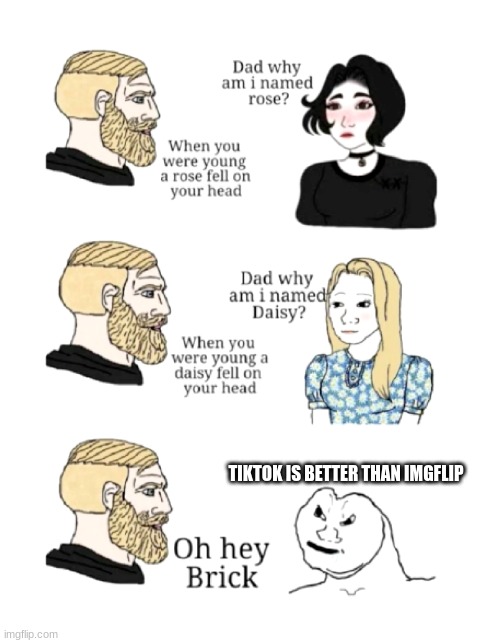 dad why am I named | TIKTOK IS BETTER THAN IMGFLIP | image tagged in dad why am i named | made w/ Imgflip meme maker