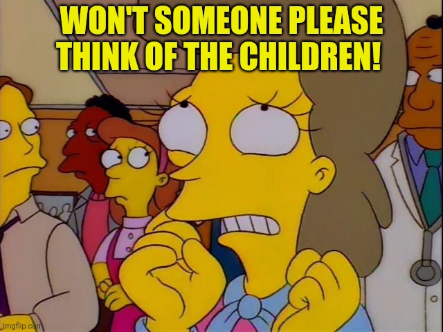 Won't somebody think of the children | WON'T SOMEONE PLEASE THINK OF THE CHILDREN! | image tagged in won't somebody think of the children | made w/ Imgflip meme maker