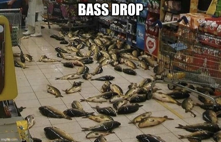 Dropped Bass | BASS DROP | image tagged in dropped bass | made w/ Imgflip meme maker