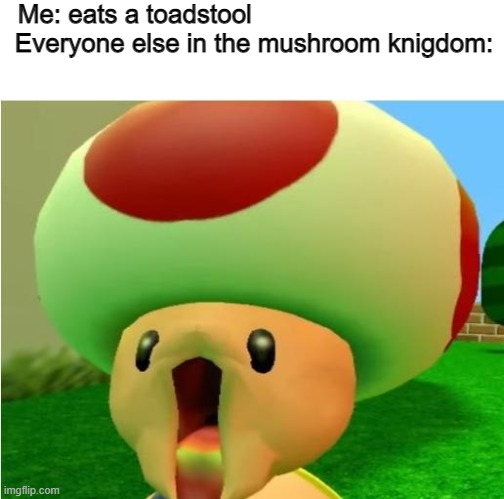 excited toad | Me: eats a toadstool                                 
Everyone else in the mushroom knigdom: | image tagged in excited toad | made w/ Imgflip meme maker