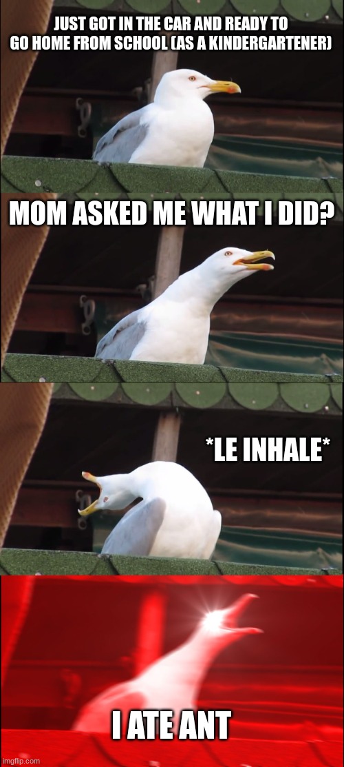 I ATE ANT. | JUST GOT IN THE CAR AND READY TO GO HOME FROM SCHOOL (AS A KINDERGARTENER); MOM ASKED ME WHAT I DID? *LE INHALE*; I ATE ANT | image tagged in memes,inhaling seagull | made w/ Imgflip meme maker