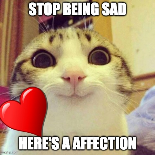 Smiling Cat | STOP BEING SAD; HERE'S A AFFECTION | image tagged in memes,smiling cat | made w/ Imgflip meme maker