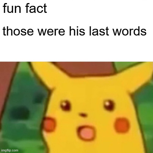 Surprised Pikachu Meme | fun fact those were his last words | image tagged in memes,surprised pikachu | made w/ Imgflip meme maker