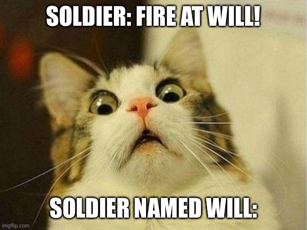 Poor Will :( |  SOLDIER: FIRE AT WILL! SOLDIER NAMED WILL: | image tagged in memes,scared cat | made w/ Imgflip meme maker