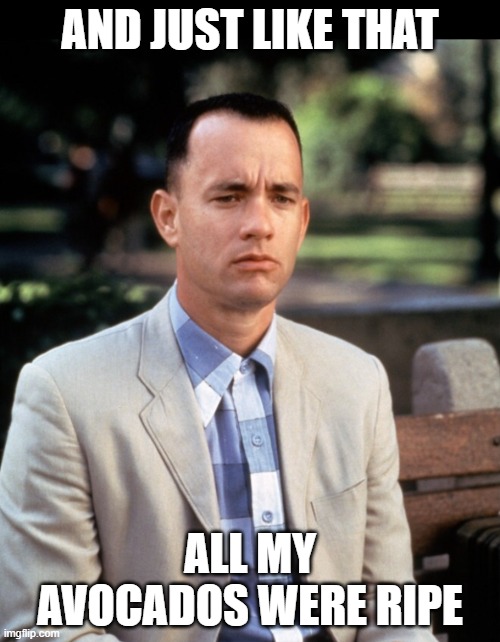 The Quickening |  AND JUST LIKE THAT; ALL MY AVOCADOS WERE RIPE | image tagged in and just like that,avocado,funny memes,forest gump | made w/ Imgflip meme maker