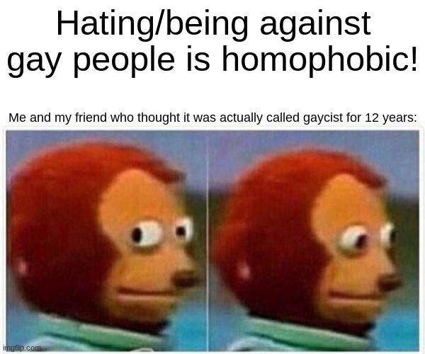 Ha ha..... | Hating/being against gay people is homophobic! Me and my friend who thought it was actually called gaycist for 12 years: | image tagged in memes,monkey puppet | made w/ Imgflip meme maker