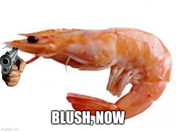 Shrimply | BLUSH, NOW | image tagged in shrimply | made w/ Imgflip meme maker