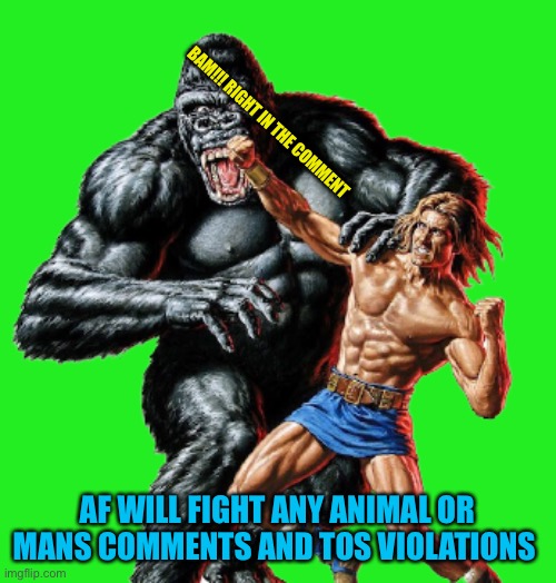 Bring back the af | BAM!!! RIGHT IN THE COMMENT; AF WILL FIGHT ANY ANIMAL OR MANS COMMENTS AND TOS VIOLATIONS | image tagged in punching ape | made w/ Imgflip meme maker