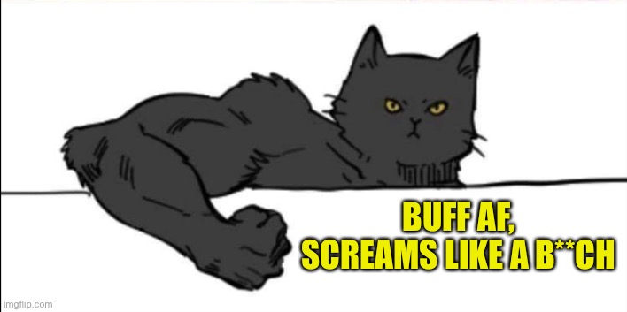 Buff cat | BUFF AF, SCREAMS LIKE A B**CH | image tagged in buff cat | made w/ Imgflip meme maker