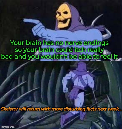Your brain has no nerve endings so your brain could itch really bad and you wouldn't be able to feel it; Skeletor will return with more disturbing facts next week... | image tagged in hmmm,skeletor disturbing facts | made w/ Imgflip meme maker