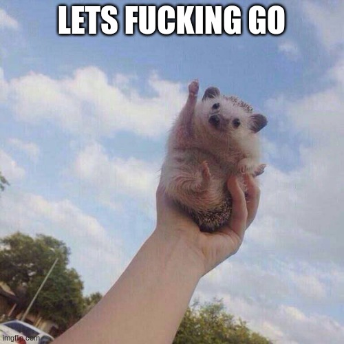 lets go | LETS FUCKING GO | image tagged in lets go | made w/ Imgflip meme maker