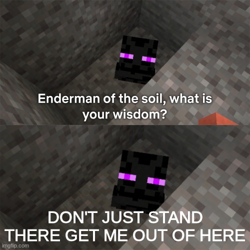 Enderman of the soil | DON'T JUST STAND THERE GET ME OUT OF HERE | image tagged in enderman of the soil | made w/ Imgflip meme maker