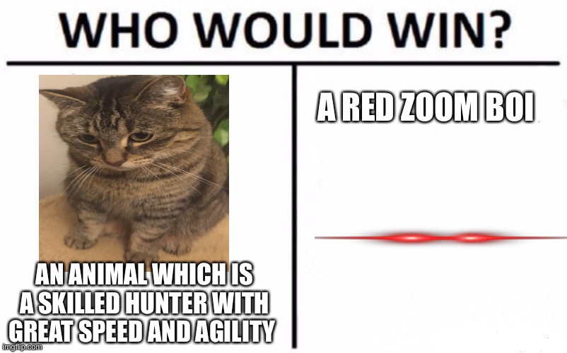 A cat situation | A RED ZOOM BOI; AN ANIMAL WHICH IS A SKILLED HUNTER WITH GREAT SPEED AND AGILITY | image tagged in memes,who would win | made w/ Imgflip meme maker