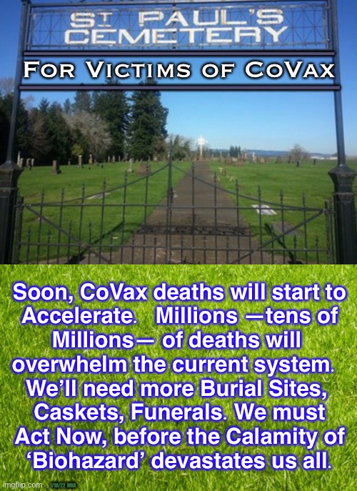 A virtual tidal wave is coming.— Took the shot, get your plot | ——————————————; For Victims of CoVax; ——————————————; Soon, CoVax deaths will start to
Accelerate.   Millions —tens of
Millions— of deaths will 
overwhelm the current system.  
We’ll need more Burial Sites, 
Caskets, Funerals. We must
Act Now, before the Calamity of
‘Biohazard’ devastates us all. 1/18/22  MRA | image tagged in memes,covax,plan now or face a disaster compounded by another disaster,cascading disasters | made w/ Imgflip meme maker