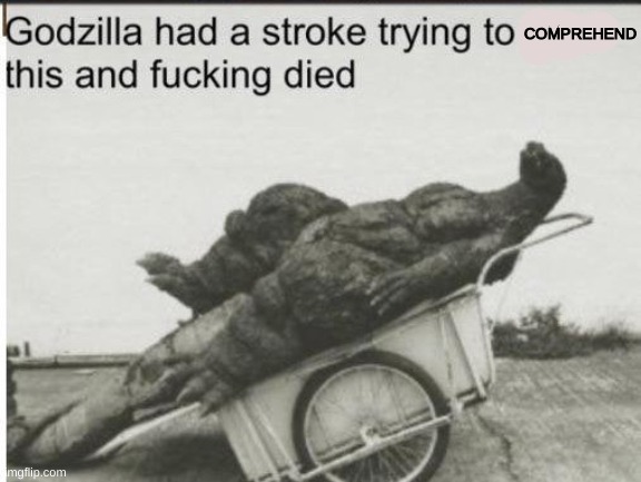 Godzilla | COMPREHEND | image tagged in godzilla | made w/ Imgflip meme maker