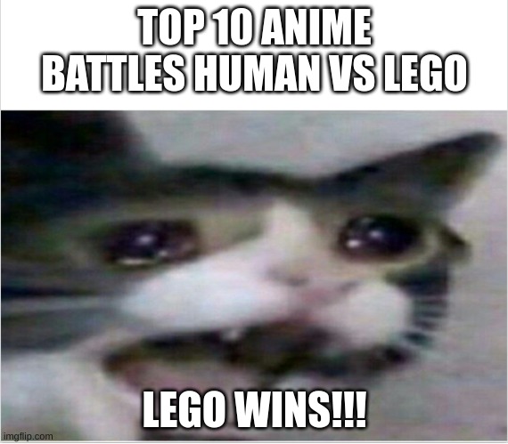 i hate when this is so true | TOP 10 ANIME BATTLES HUMAN VS LEGO; LEGO WINS!!! | image tagged in crying cat | made w/ Imgflip meme maker