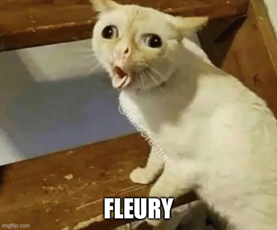 French Cat | FLEURY | image tagged in french cat | made w/ Imgflip meme maker