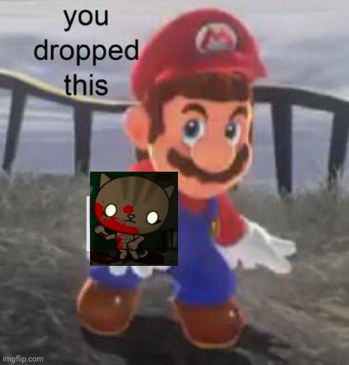Kitty Cat | image tagged in mario you dropped this,choccy milk | made w/ Imgflip meme maker