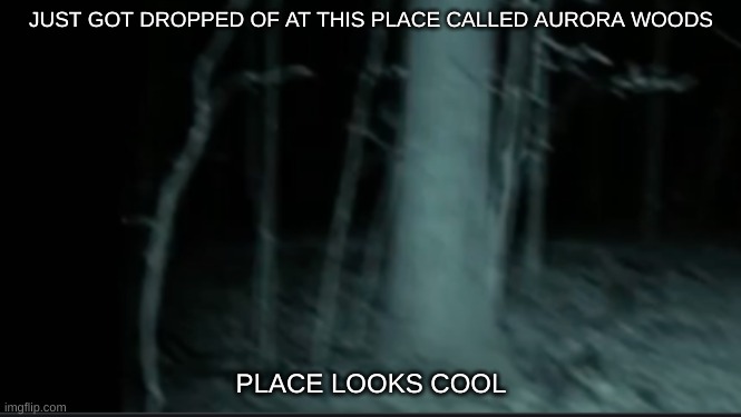 JUST GOT DROPPED OF AT THIS PLACE CALLED AURORA WOODS; PLACE LOOKS COOL | made w/ Imgflip meme maker