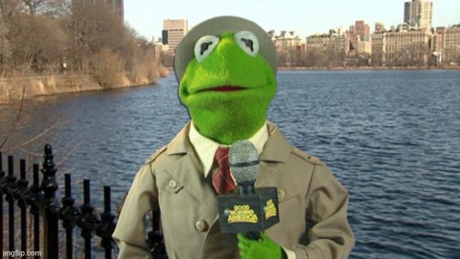 Kermit News Report | image tagged in kermit news report | made w/ Imgflip meme maker
