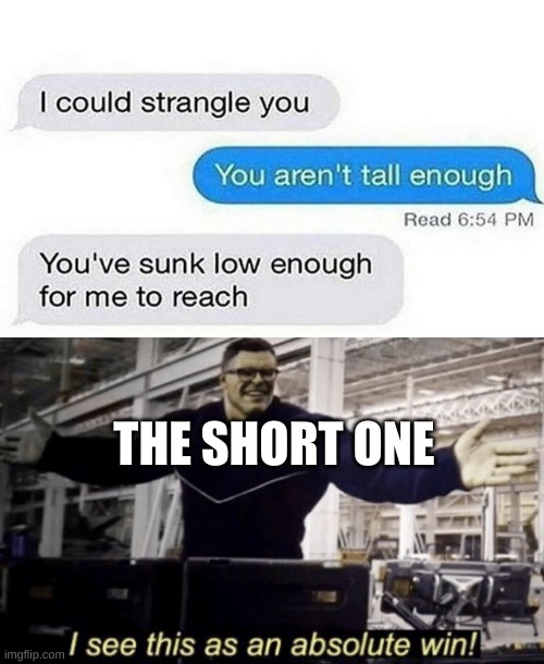 THE SHORT ONE | image tagged in i see this as an absolute win | made w/ Imgflip meme maker