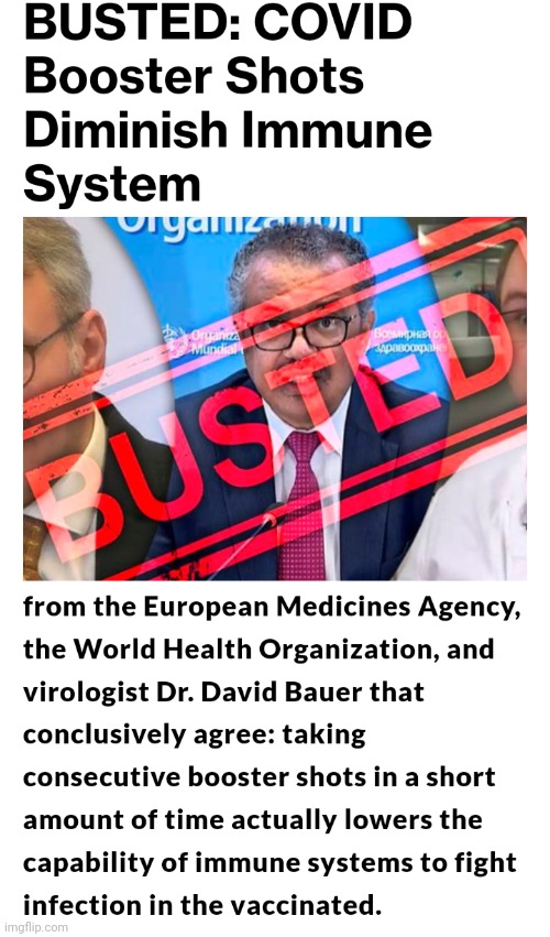 image tagged in funny memes | made w/ Imgflip meme maker