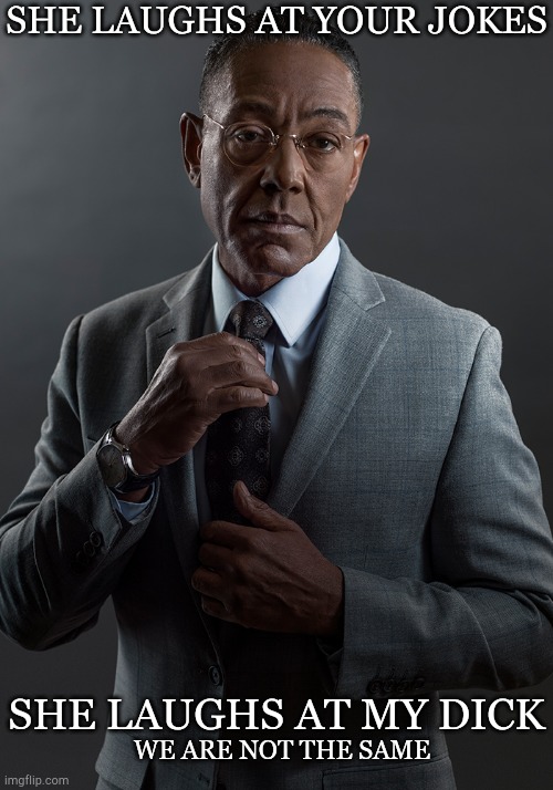 We are not the same | SHE LAUGHS AT YOUR JOKES; SHE LAUGHS AT MY DICK; WE ARE NOT THE SAME | image tagged in breaking bad,gus fring we are not the same,funny | made w/ Imgflip meme maker