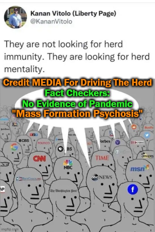 The Left Has Lost Contact with REALITY and Are Unable to Recognize Lies as They Reject Facts & Truths. . . . | Credit MEDIA For Driving The Herd; Fact Checkers: 
No Evidence of Pandemic; "Mass Formation Psychosis" | image tagged in politics,alternate reality,democrats,leftists,media lies,the truth | made w/ Imgflip meme maker