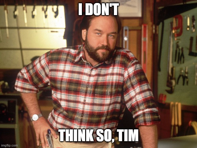 I don't think so, Tim | I DON'T THINK SO, TIM | image tagged in i don't think so tim | made w/ Imgflip meme maker