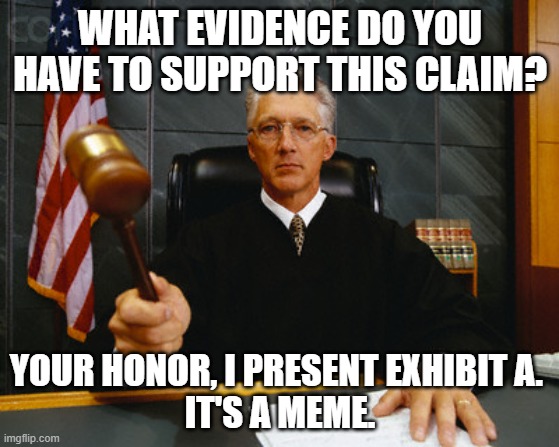 judge | WHAT EVIDENCE DO YOU HAVE TO SUPPORT THIS CLAIM? YOUR HONOR, I PRESENT EXHIBIT A. 
IT'S A MEME. | image tagged in judge | made w/ Imgflip meme maker