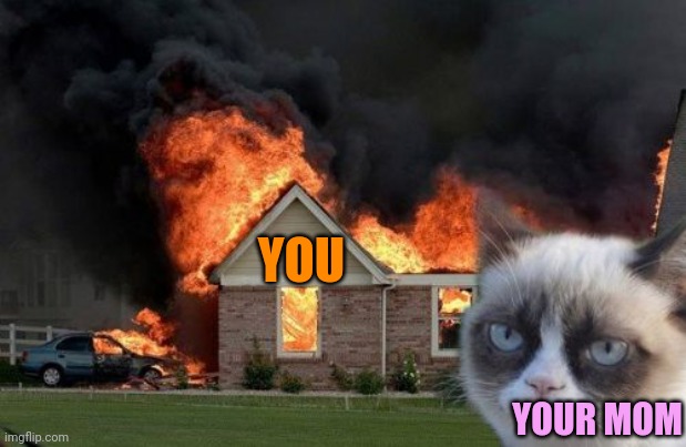 Burn Kitty Meme | YOU YOUR MOM | image tagged in memes,burn kitty,grumpy cat | made w/ Imgflip meme maker