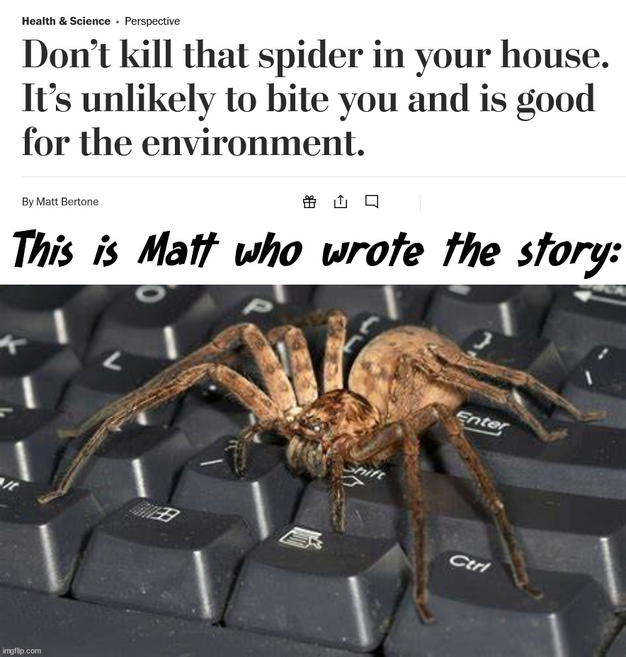 Who else would have wrote the? |  This is Matt who wrote the story: | image tagged in spider,stories | made w/ Imgflip meme maker