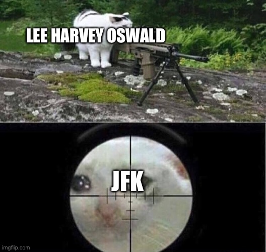 Sniper cat | LEE HARVEY OSWALD; JFK | image tagged in sniper cat | made w/ Imgflip meme maker