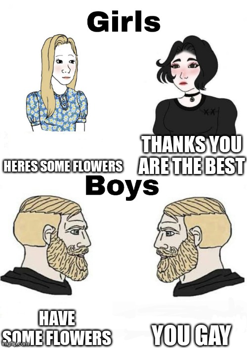 Girls vs Boys | HERES SOME FLOWERS; THANKS YOU ARE THE BEST; YOU GAY; HAVE SOME FLOWERS | image tagged in girls vs boys | made w/ Imgflip meme maker