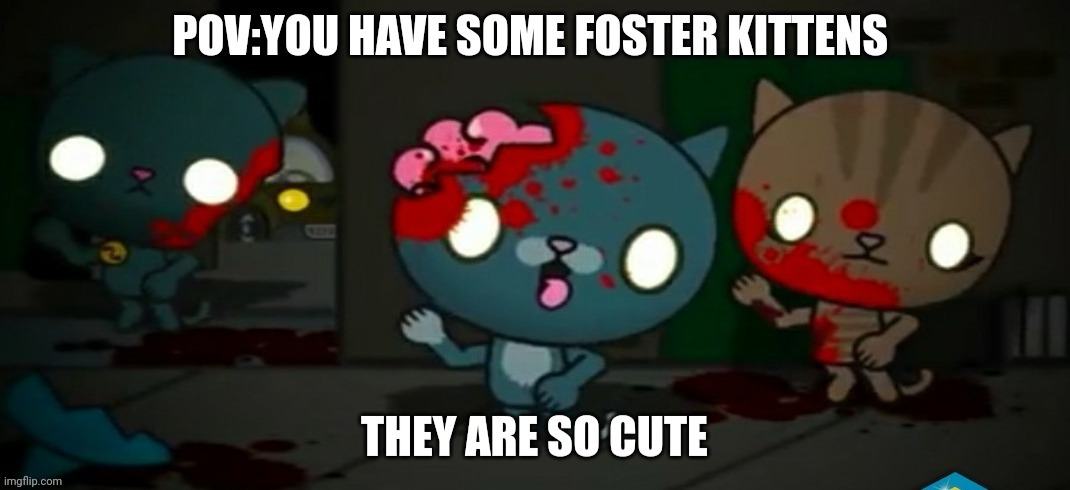 Foster Kitties | image tagged in choccy milk,bad pun dog,among us presentation | made w/ Imgflip meme maker