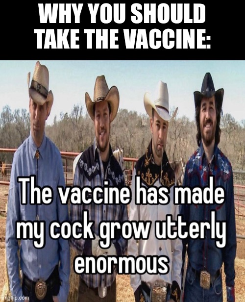 Take the covid vaccine and you’ll gain two types of immunity ;) | WHY YOU SHOULD TAKE THE VACCINE: | image tagged in donald trump,joe biden,vaccines | made w/ Imgflip meme maker