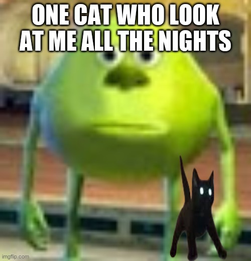 ONE CAT WHO LOOK AT ME ALL THE NIGHTS | image tagged in cat,sully wazowski | made w/ Imgflip meme maker